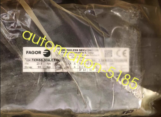 1PCS FAGOR motor FKM66.30A.E3.000 brand new fedex or DHL