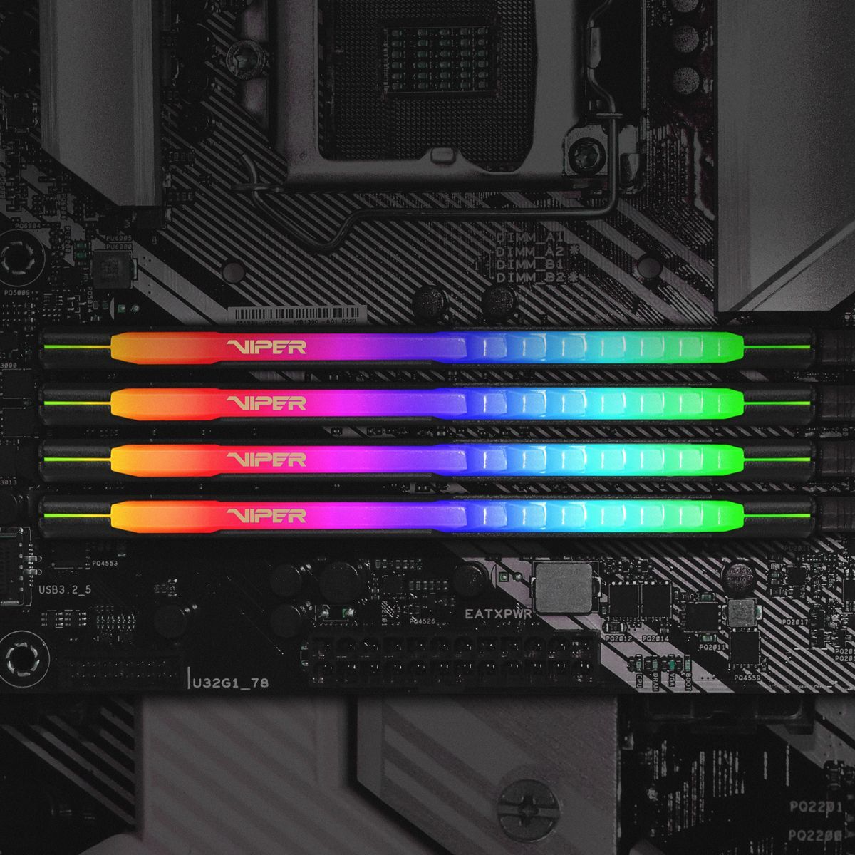 Patriot Viper Steel RGB 16GB 32GB 64GB PC RAM DDR4 3200 3600 288-Pin Memory DIMM