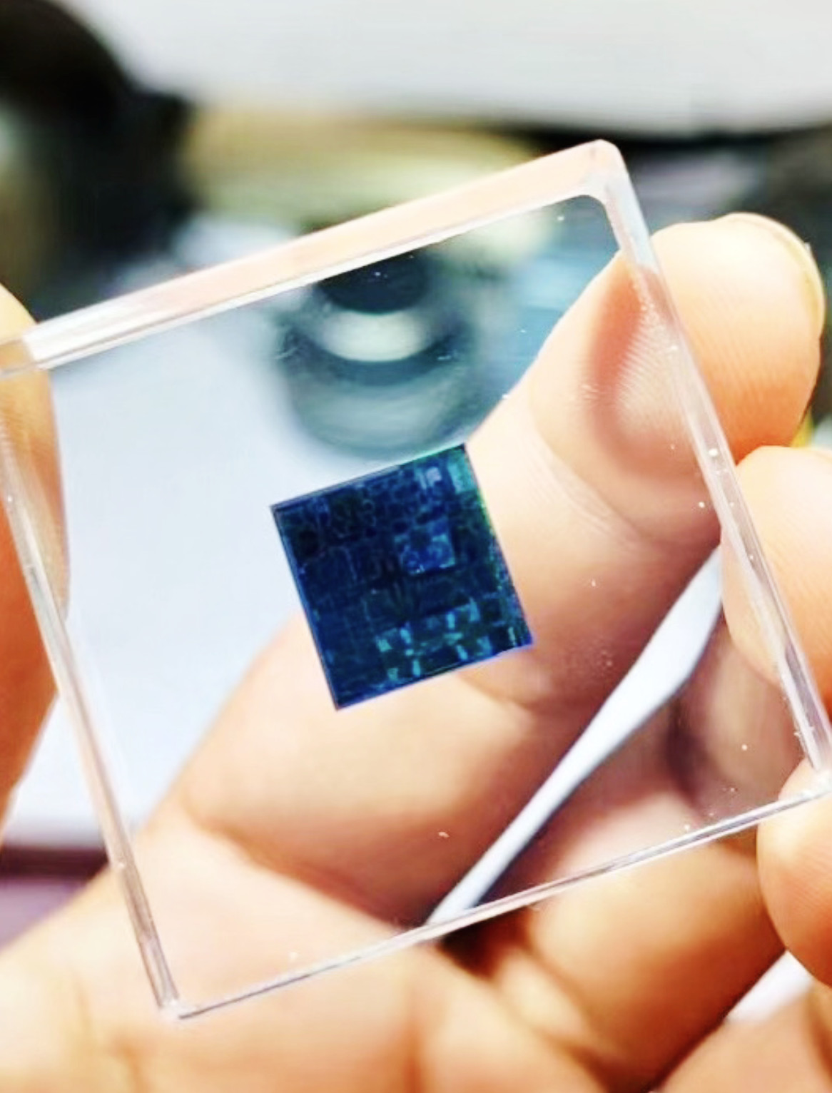 Apple M1 chip. Original chip resin seal, high collectible value