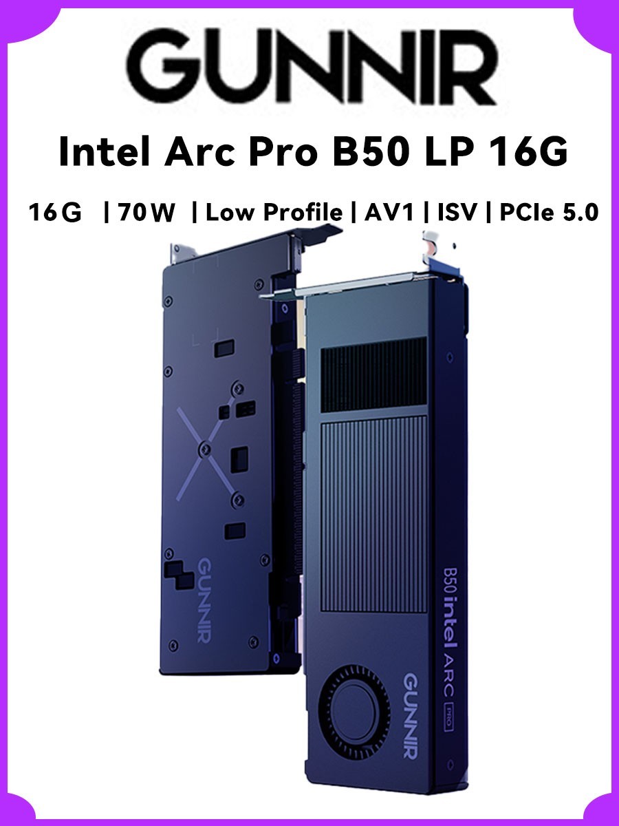 GUNNIR Intel Arc Pro B50 16G Low Profile Graphics Card, Single Slot 16GB GDDR6