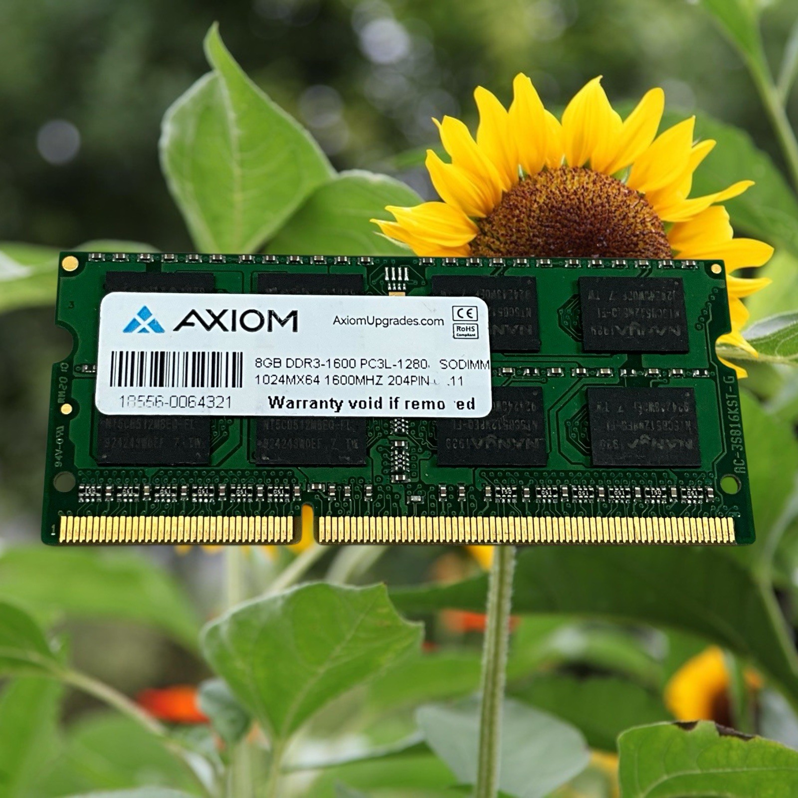 AXIOM 8GB DDR3L 1600 PC3L-12800 Non-ECC 1.35V SODIMM