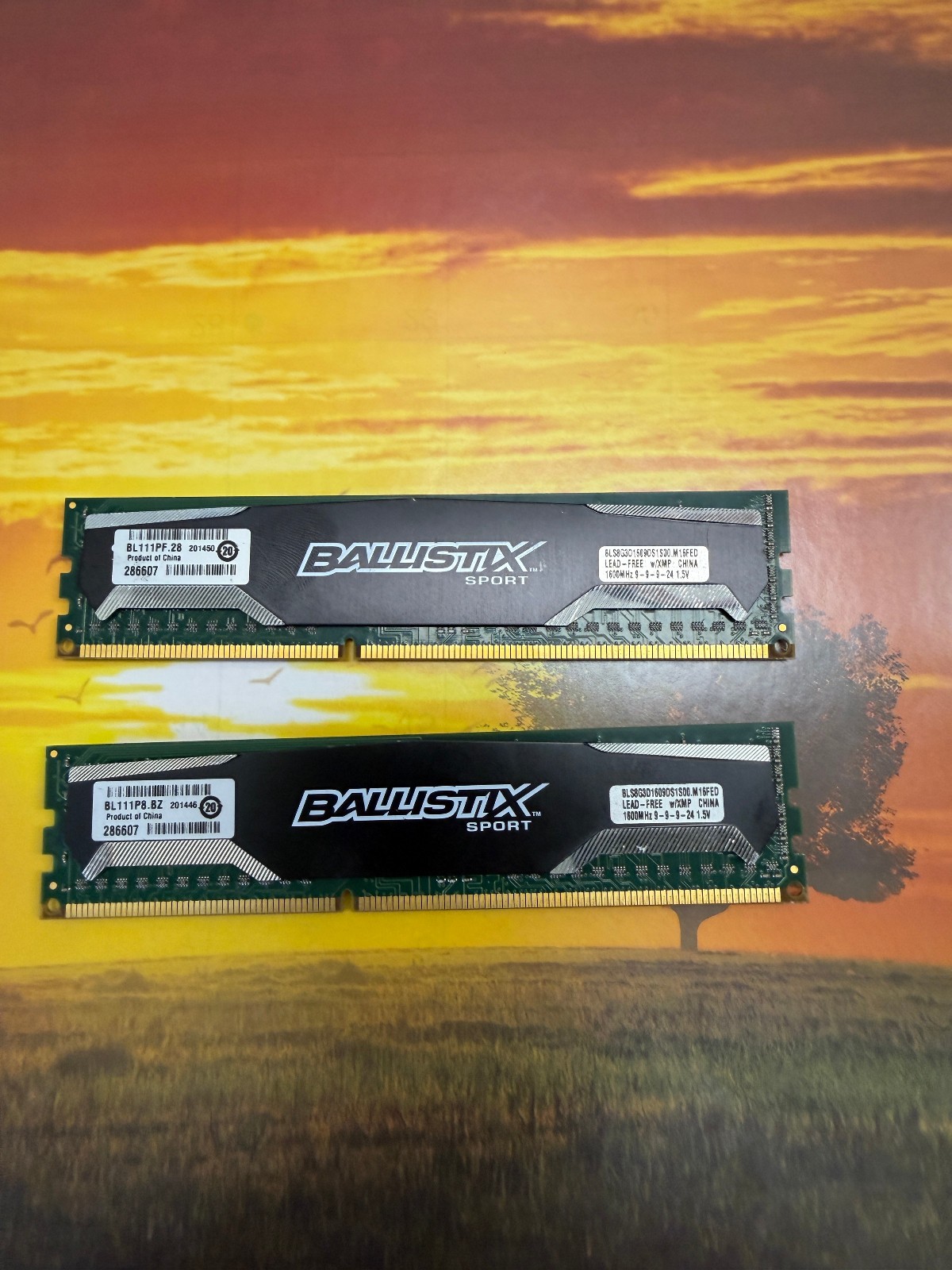 Crucial Ballistix Sport 16GB (2X8GB) DDR3 RAM 1600MHz BLS8G3D1609DS1S00 1.5