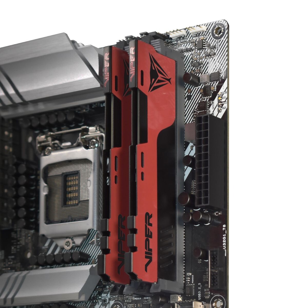 Patriot Viper Elite II 16GB 32GB 64GB DDR4 2666 3200 3600 4000 UDIMM PC Memory