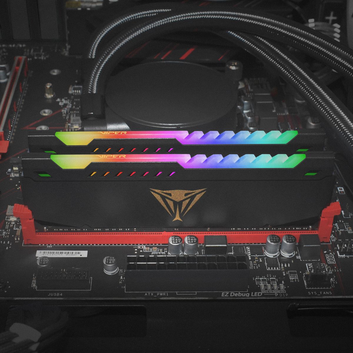 Patriot Viper Steel RGB 16GB 32GB 64GB PC RAM DDR4 3200 3600 288-Pin Memory DIMM