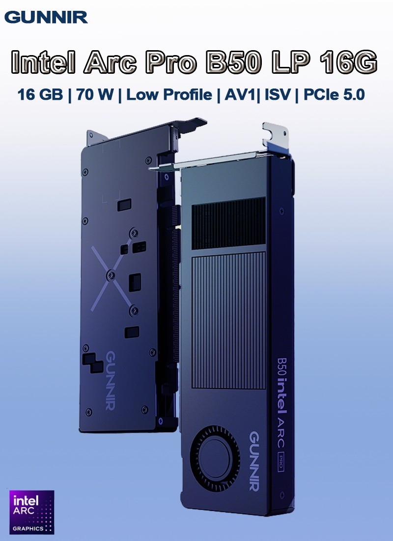 GUNNIR Intel Arc Pro B50 16G Low Profile Graphics Card, Single Slot 16GB GDDR6
