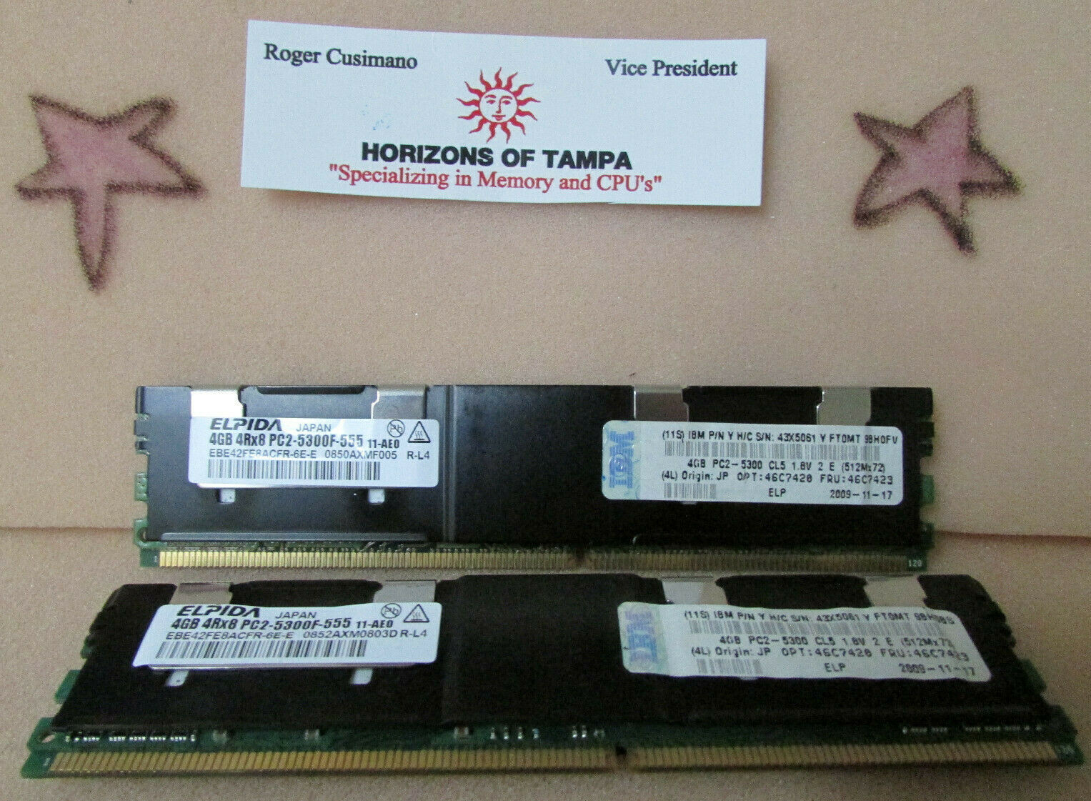 Elpida EBE42FE8ACFR-6E-E 8GB (2x4GB) 4Rx8 PC2-5300F-555