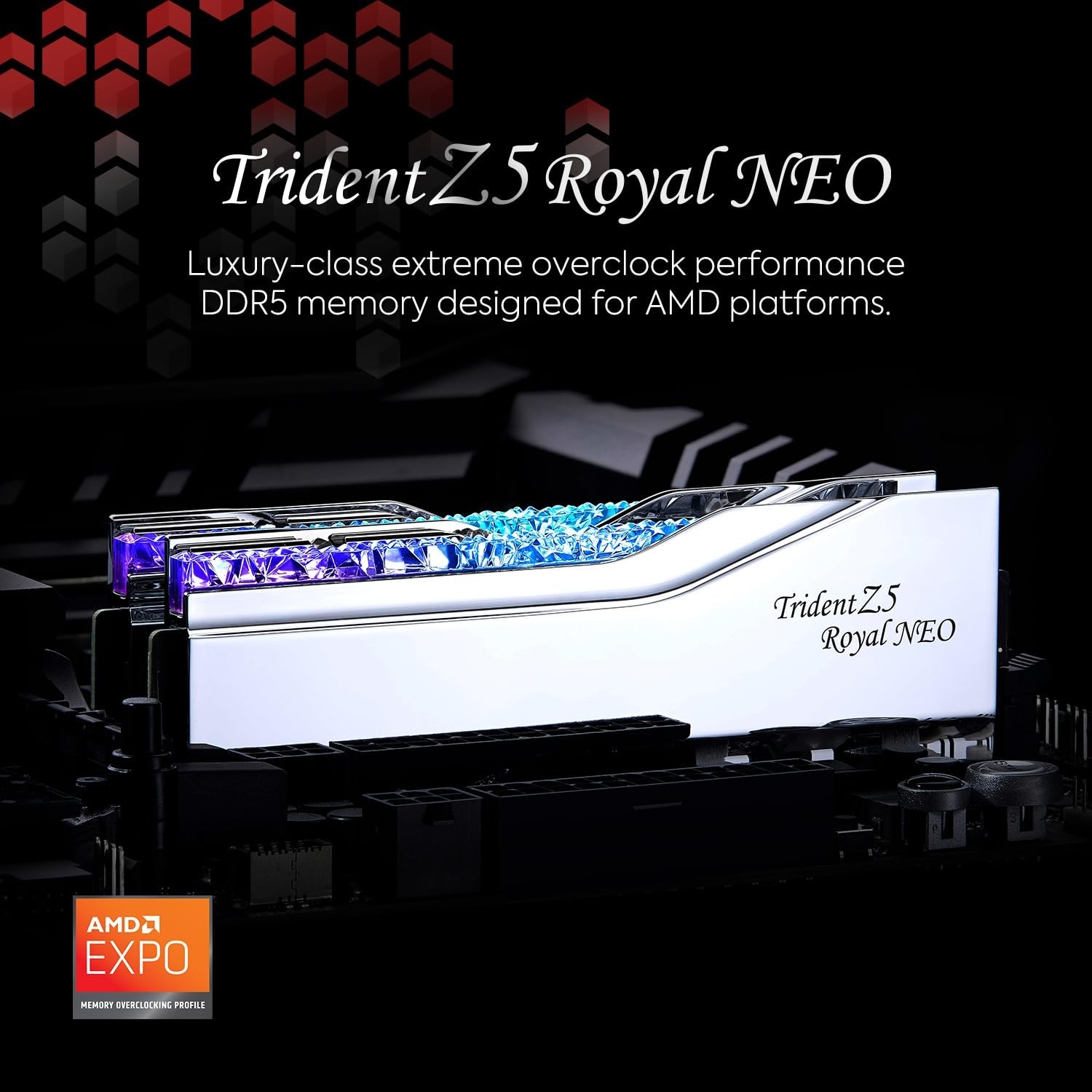 G.SKILL Trident Z5 Royal Neo Series DDR5 RAM (AMD EXPO) 32GB (2x16GB) 6000MT/…