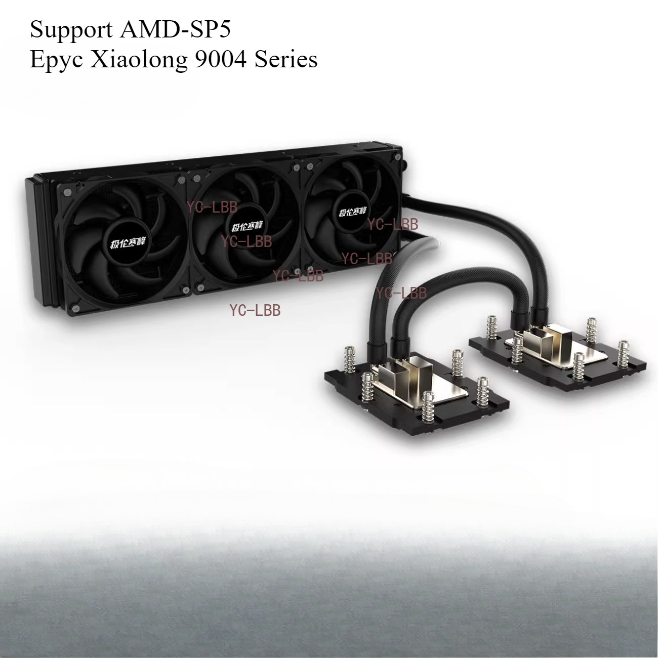 Server integrated dual-CPU water-cooling radiator