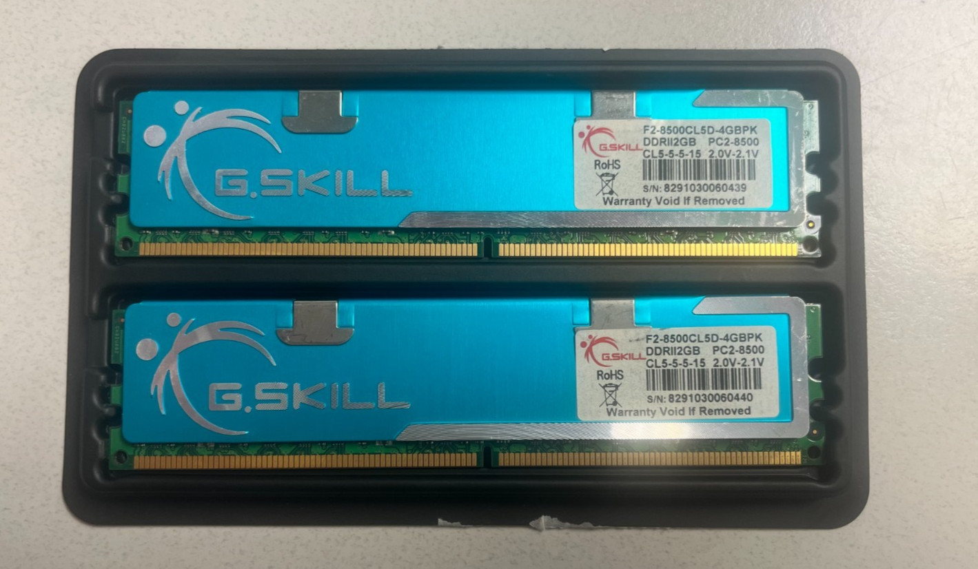 G.SKILL DDR2 RAM kit, 4GB (2x 2GB sticks) PC2-8500 (DDR2-1066), Desktop Memory