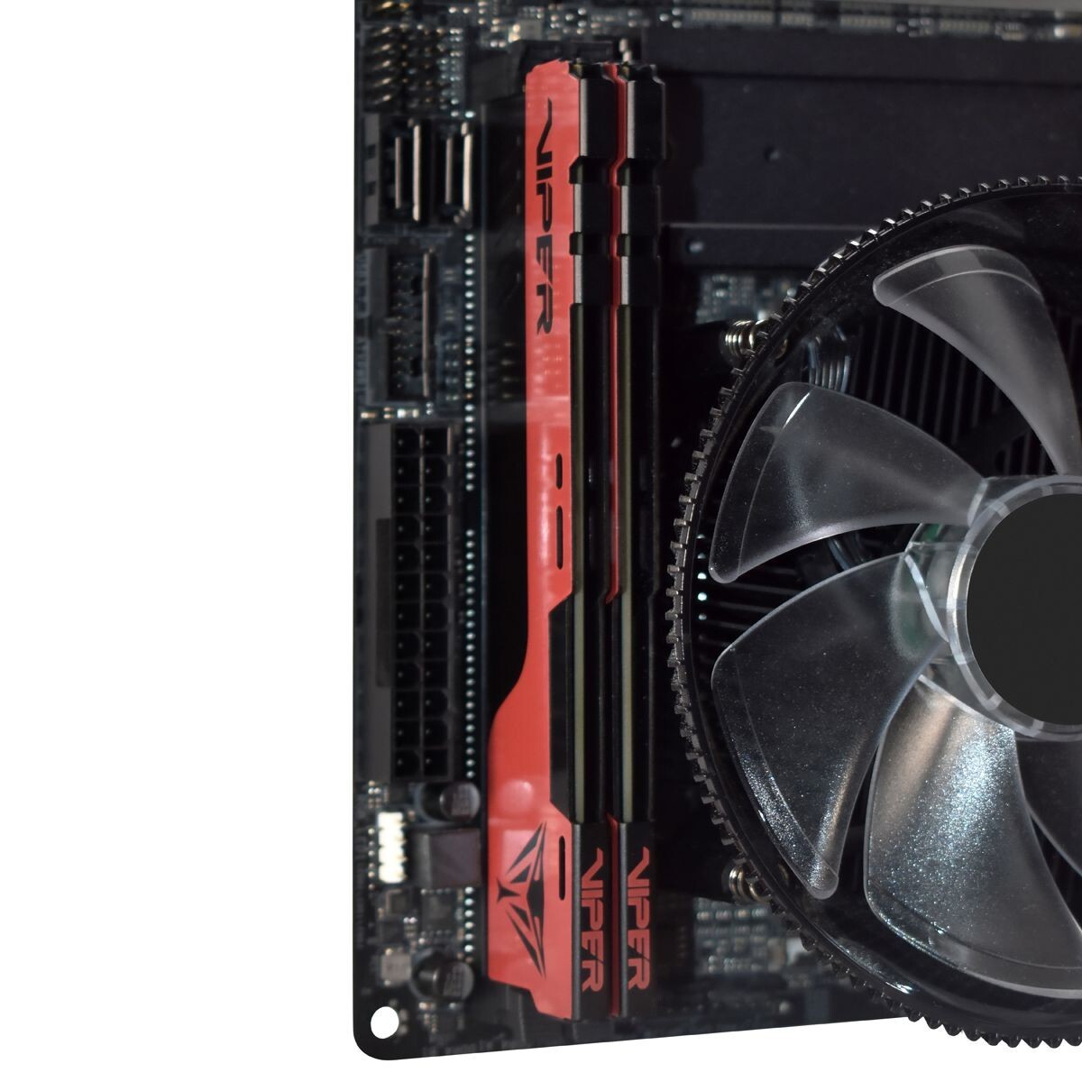 Patriot Viper Elite II 16GB 32GB 64GB DDR4 2666 3200 3600 4000 UDIMM PC Memory