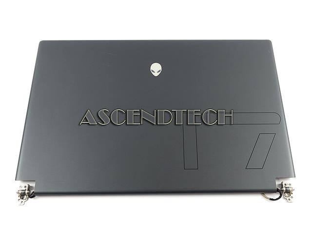 DELL ALIENWARE M17 R5 17.3″ IPS FHD NON-TOUCH 360HZ LCD SCREEN ASSEMBLY 01WFM