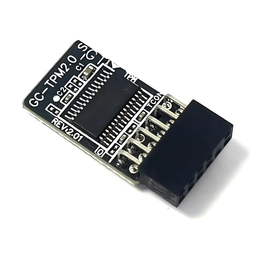 GC-TPM2.0_S 12pin-1 LPC SLB9665 Security Module For GIGABYTE B360M POWER
