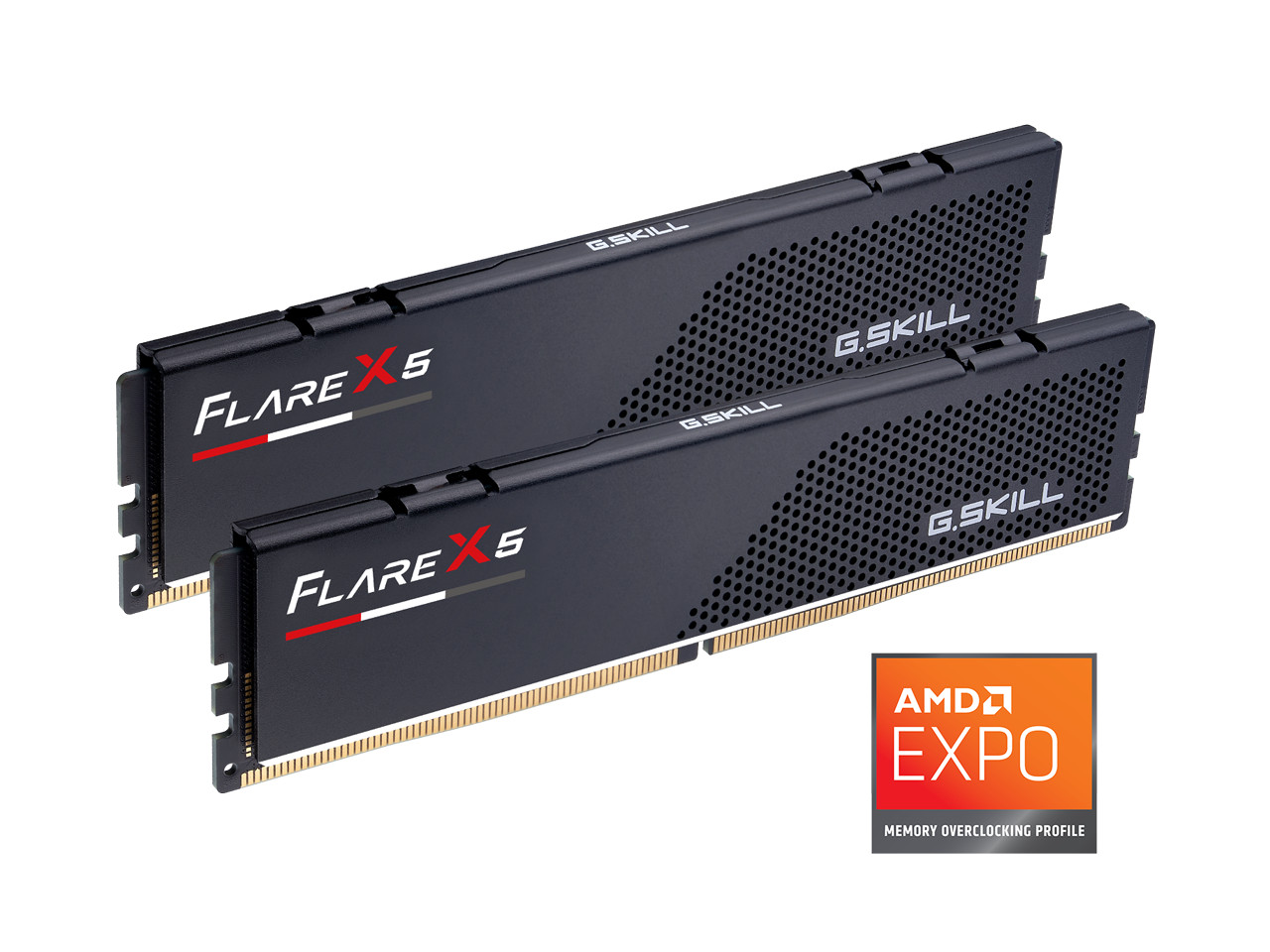 G.SKILL Flare X5 16GB (2 x 8GB) 288-Pin PC RAM DDR5 6000 (PC5 48000) Desktop Mem