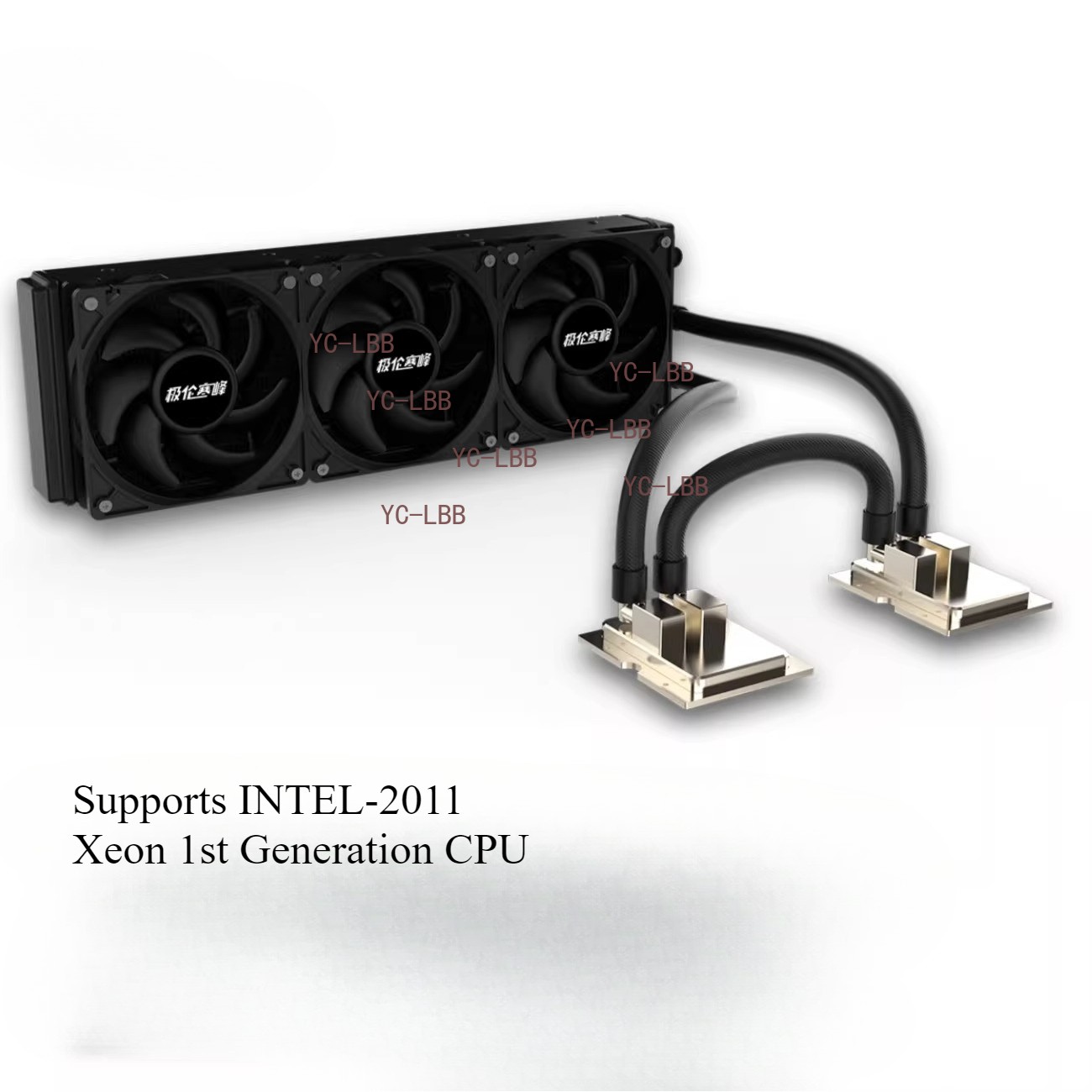 Server integrated dual-CPU water-cooling radiator
