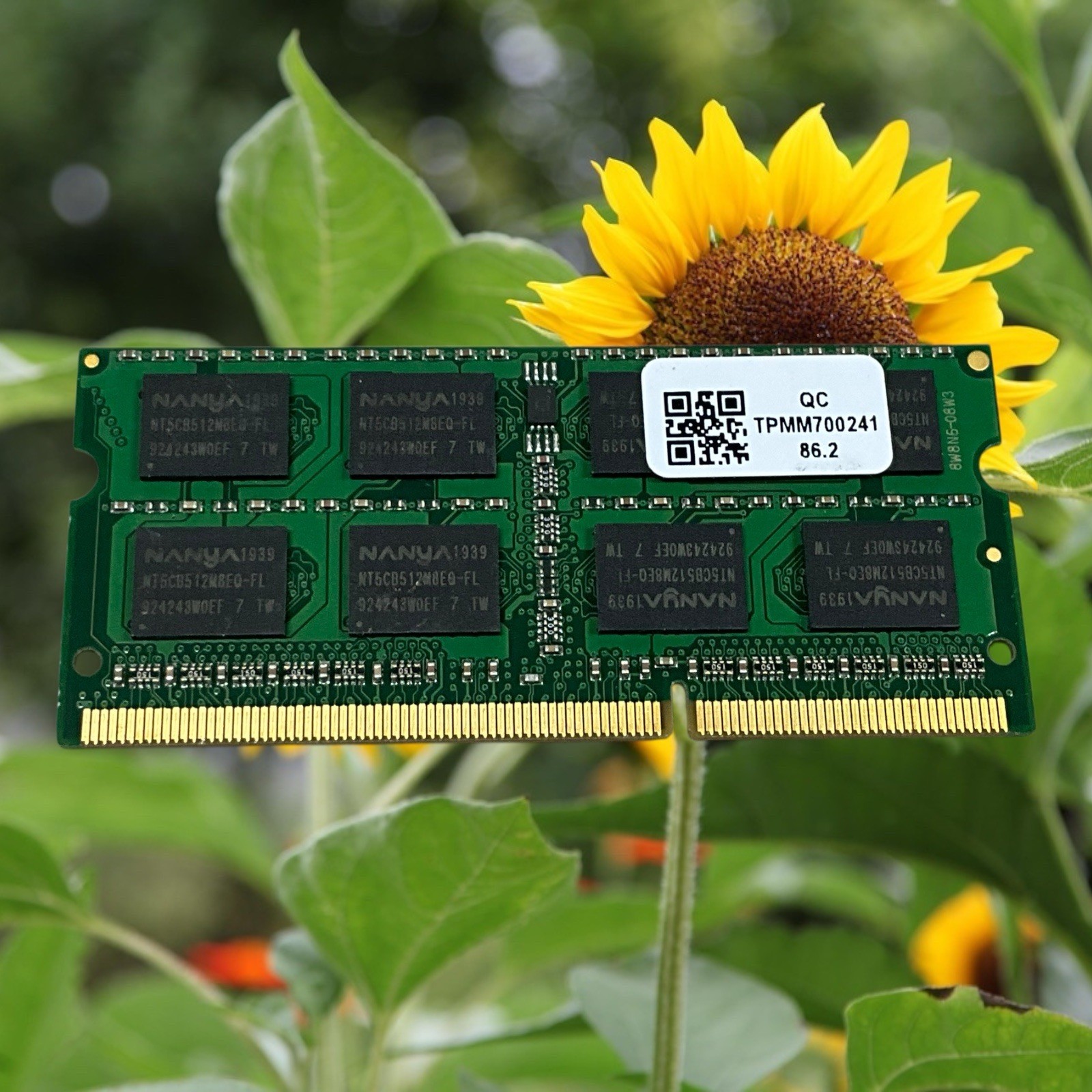 AXIOM 8GB DDR3L 1600 PC3L-12800 Non-ECC 1.35V SODIMM